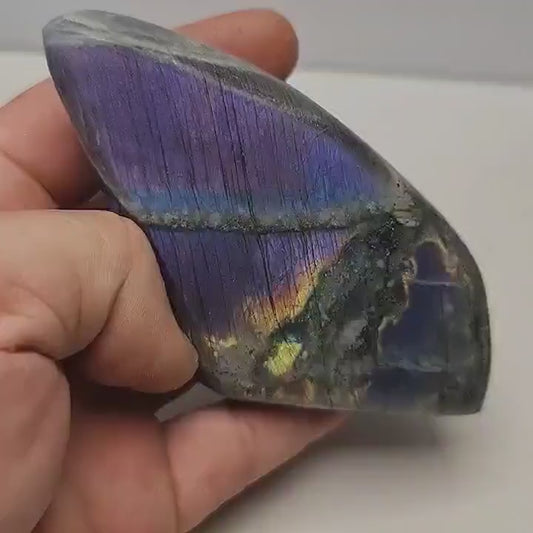 Labradorite forme libre polie