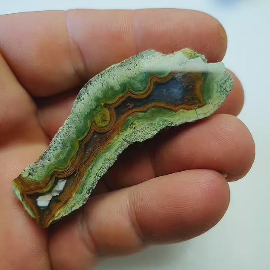 Agate orpheus