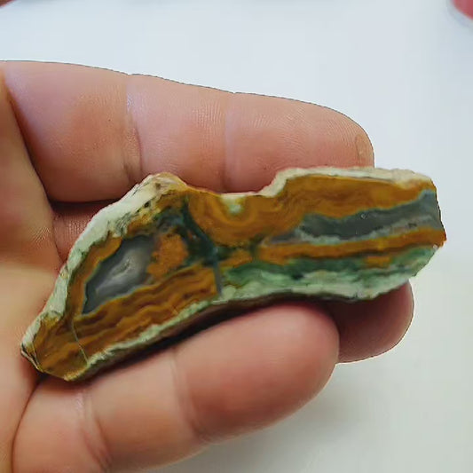 Agate orpheus