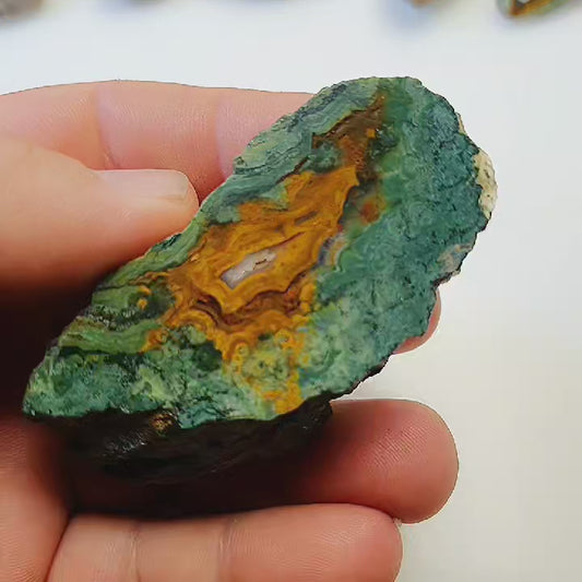 Agate orpheus