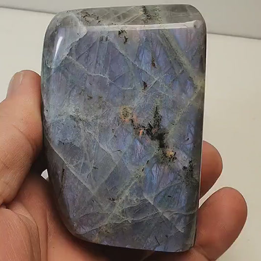 Labradorite forme libre polie